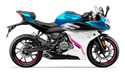 CF MOTO 250SR LITE FI